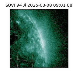 suvi - 2025-03-08T09:01:08.796000