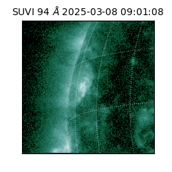 suvi - 2025-03-08T09:01:08.796000