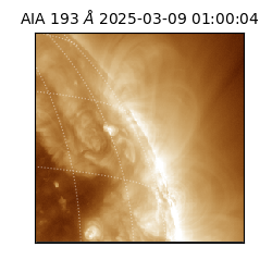 saia - 2025-03-09T01:00:04.843000