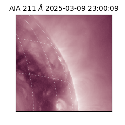 saia - 2025-03-09T23:00:09.629000