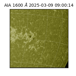 saia - 2025-03-09T09:00:14.126000