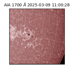 saia - 2025-03-09T11:00:28.717000