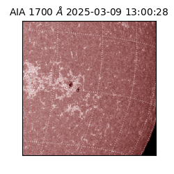 saia - 2025-03-09T13:00:28.719000