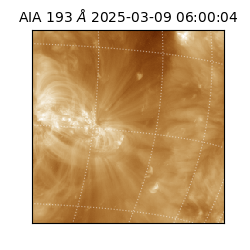 saia - 2025-03-09T06:00:04.846000