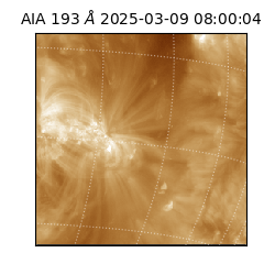 saia - 2025-03-09T08:00:04.846000
