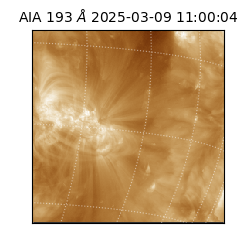 saia - 2025-03-09T11:00:04.835000