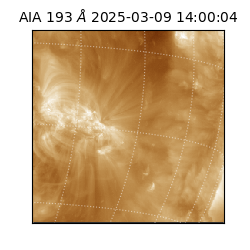 saia - 2025-03-09T14:00:04.843000