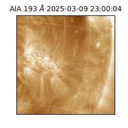 saia - 2025-03-09T23:00:04.843000