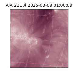 saia - 2025-03-09T01:00:09.626000