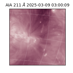 saia - 2025-03-09T03:00:09.629000