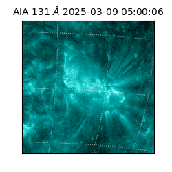 saia - 2025-03-09T05:00:06.622000