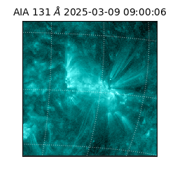 saia - 2025-03-09T09:00:06.622000