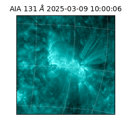 saia - 2025-03-09T10:00:06.622000