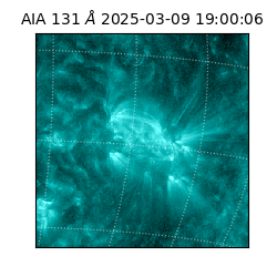 saia - 2025-03-09T19:00:06.622000