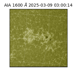 saia - 2025-03-09T03:00:14.126000