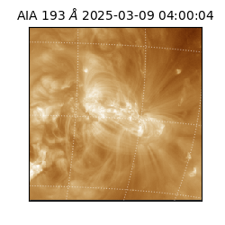 saia - 2025-03-09T04:00:04.843000