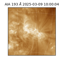 saia - 2025-03-09T10:00:04.846000