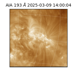 saia - 2025-03-09T14:00:04.843000