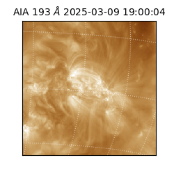 saia - 2025-03-09T19:00:04.843000