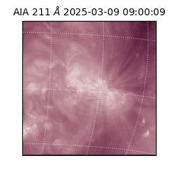 saia - 2025-03-09T09:00:09.626000