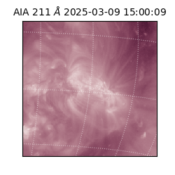 saia - 2025-03-09T15:00:09.634000