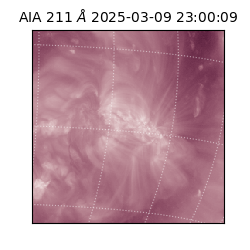 saia - 2025-03-09T23:00:09.629000