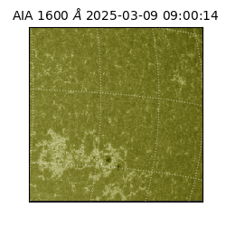 saia - 2025-03-09T09:00:14.126000