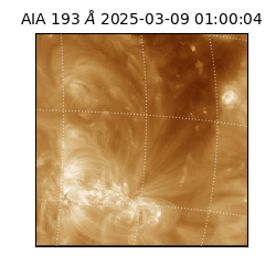 saia - 2025-03-09T01:00:04.843000