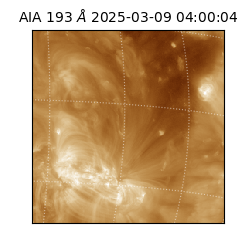 saia - 2025-03-09T04:00:04.843000