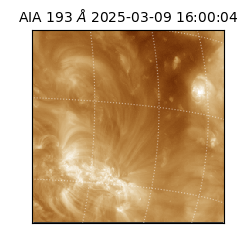 saia - 2025-03-09T16:00:04.843000