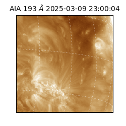 saia - 2025-03-09T23:00:04.843000