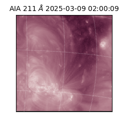 saia - 2025-03-09T02:00:09.630000