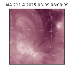 saia - 2025-03-09T08:00:09.626000