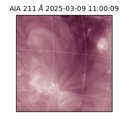 saia - 2025-03-09T11:00:09.622000