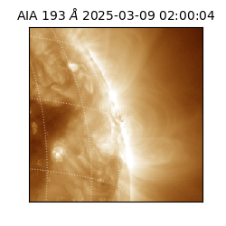 saia - 2025-03-09T02:00:04.843000