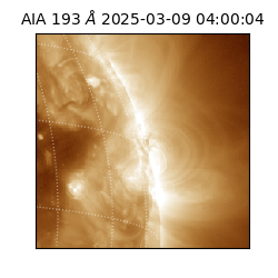 saia - 2025-03-09T04:00:04.843000