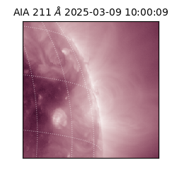 saia - 2025-03-09T10:00:09.626000