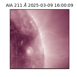 saia - 2025-03-09T16:00:09.625000