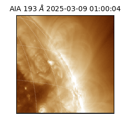 saia - 2025-03-09T01:00:04.843000