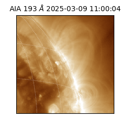 saia - 2025-03-09T11:00:04.835000