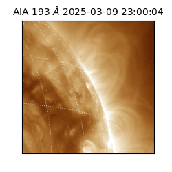 saia - 2025-03-09T23:00:04.843000