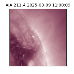 saia - 2025-03-09T11:00:09.622000