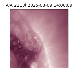 saia - 2025-03-09T14:00:09.630000