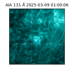 saia - 2025-03-09T01:00:06.622000