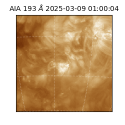 saia - 2025-03-09T01:00:04.843000