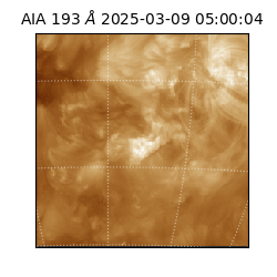saia - 2025-03-09T05:00:04.843000