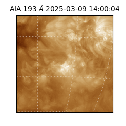 saia - 2025-03-09T14:00:04.843000