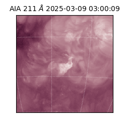 saia - 2025-03-09T03:00:09.629000