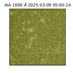 saia - 2025-03-09T05:00:14.125000