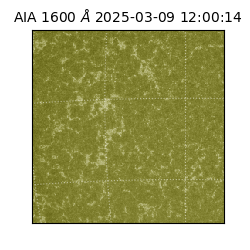 saia - 2025-03-09T12:00:14.126000